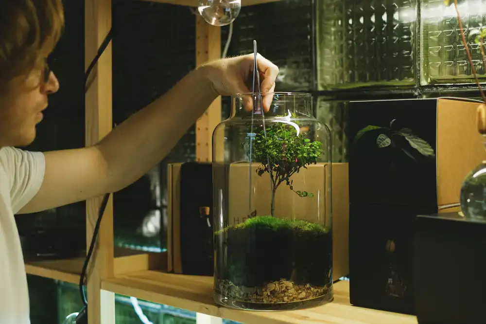 High quality precision tools for terrarium care including long scissors and angled tweezers
