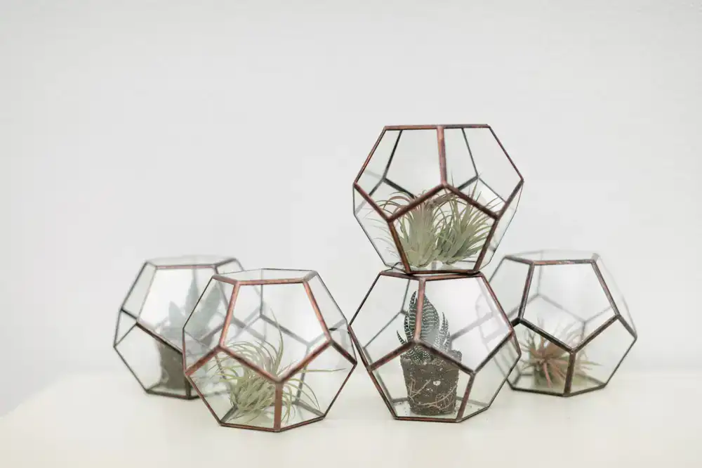 Small geometric glass terrarium