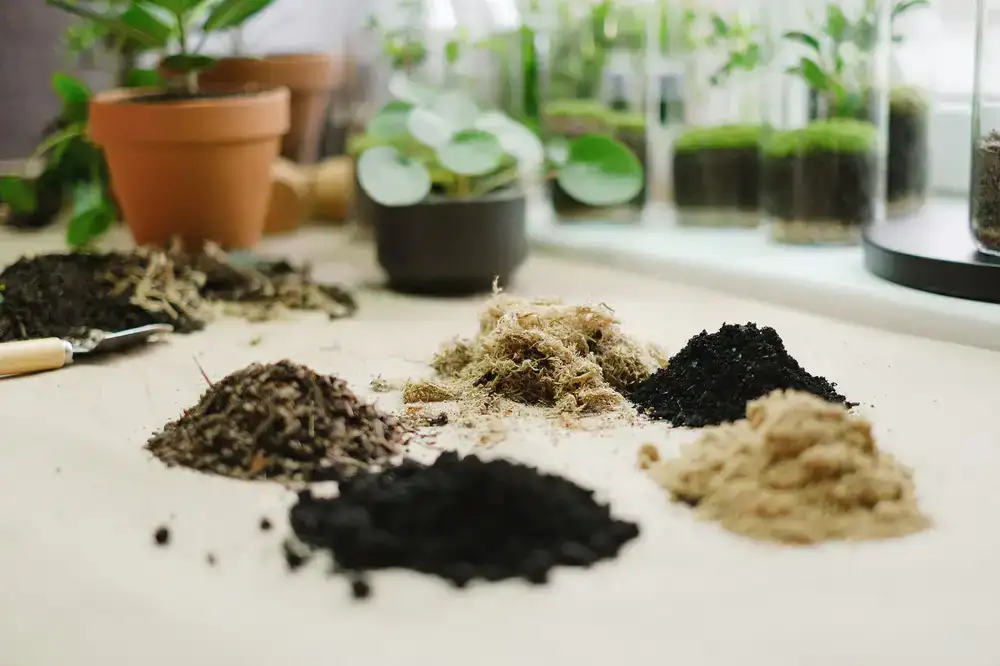DIY terrarium kit with materials