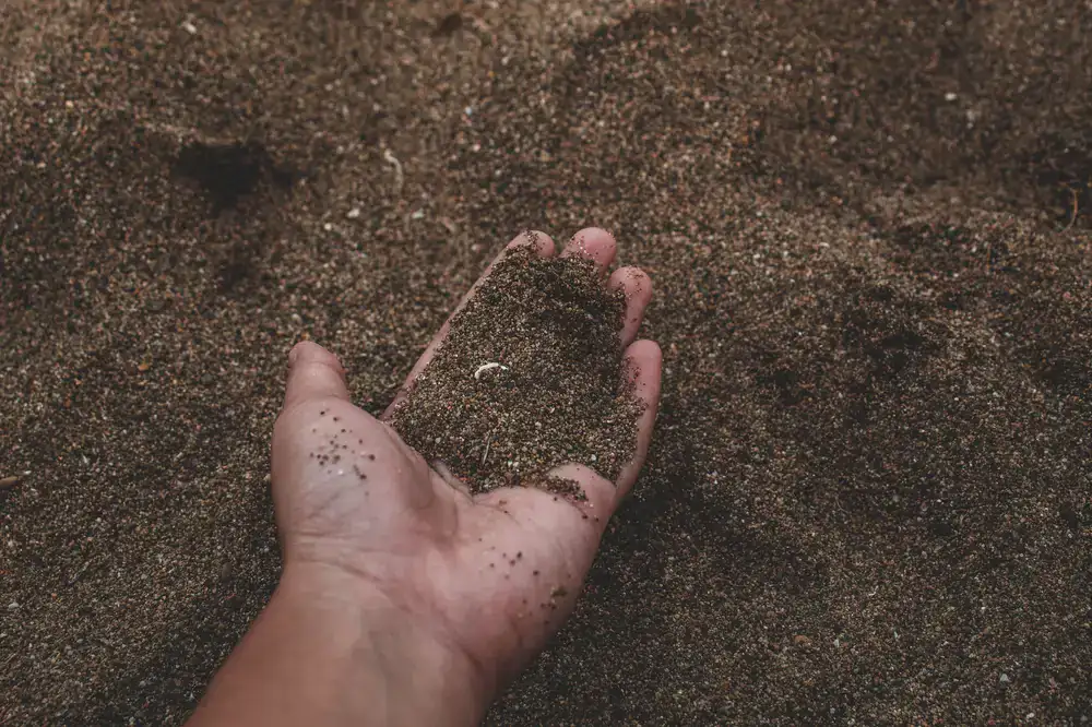 Hands scooping rich dark terrarium soil
