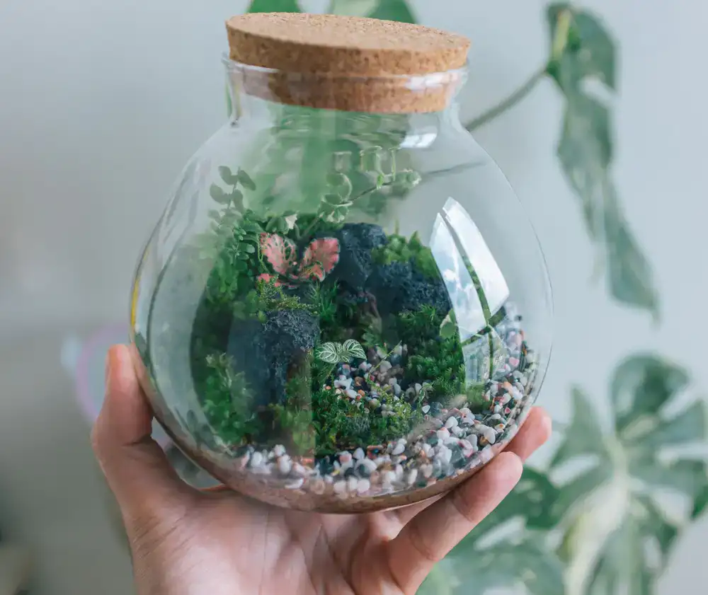 Large glass closed ecosystem terrarium